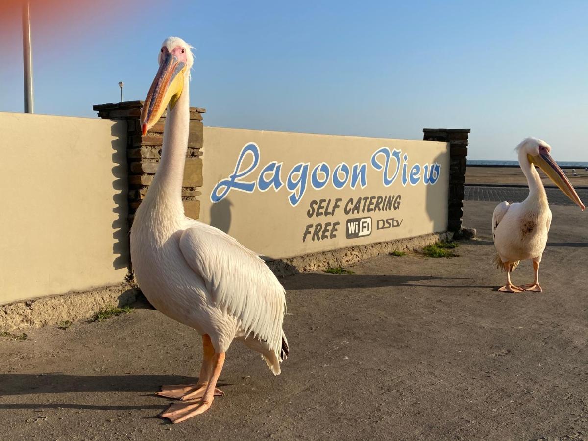 Lagoon View Self Catering 鲸湾港 外观 照片